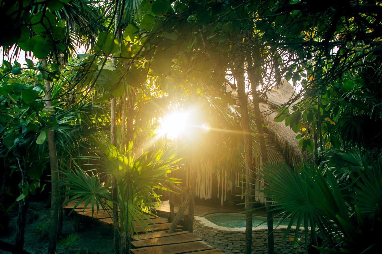 Ikal Tulum Hotel Zewnętrze zdjęcie Jungle at Xel-Há