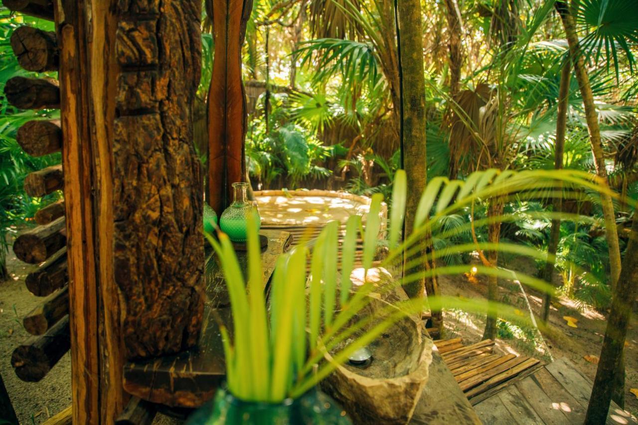 Ikal Tulum Hotel Zewnętrze zdjęcie The interior of the rainforest